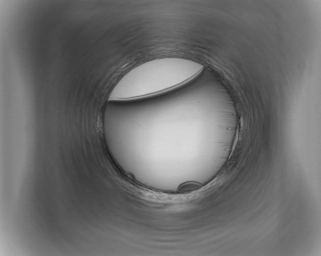X0000110920048200906181224