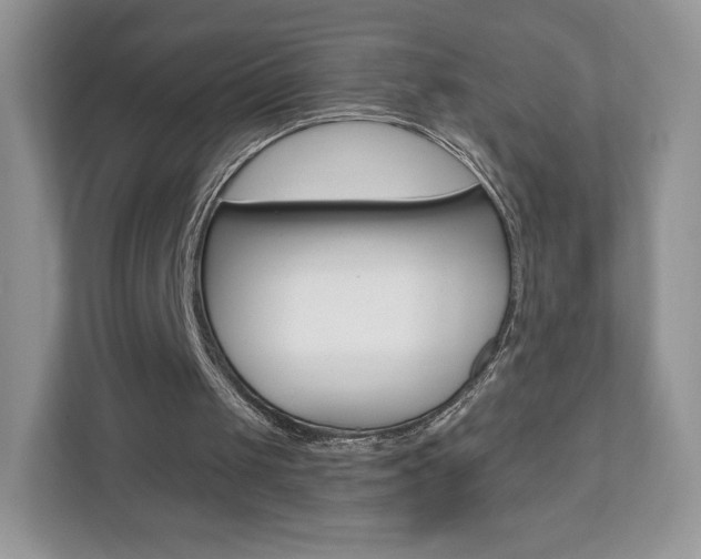 X0000110920049200906181224