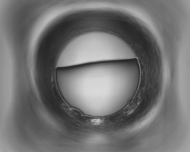 X0000110920050200906181224