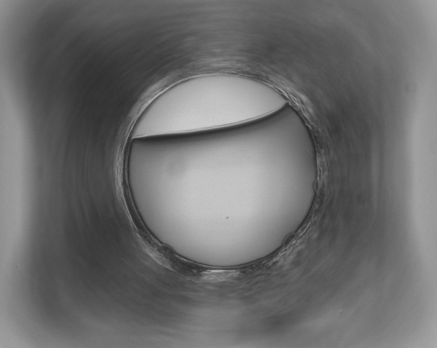 X0000110920051200906181224