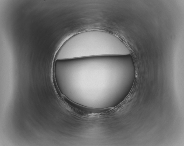 X0000110920052200906181224