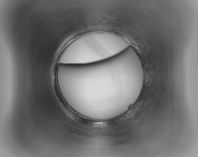 X0000110920053200906181224