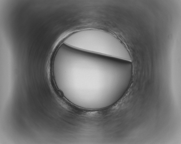 X0000110920054200906181224