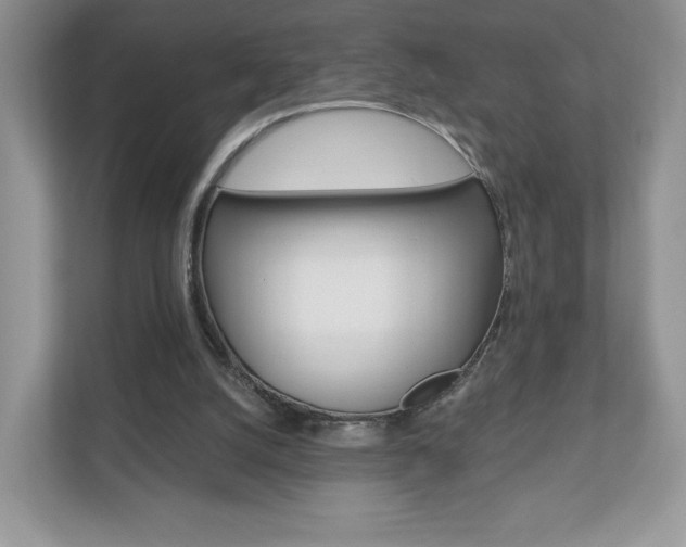 X0000110920056200906181224