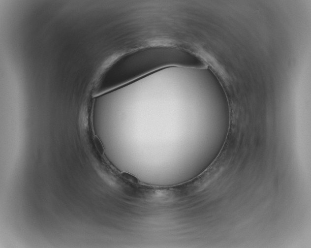 X0000110920060200906181224