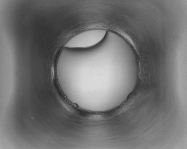 X0000110920061200906181224