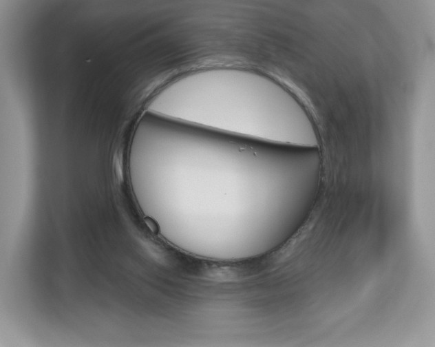 X0000110920062200906181224