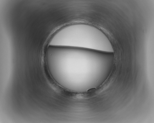 X0000110920064200906181224