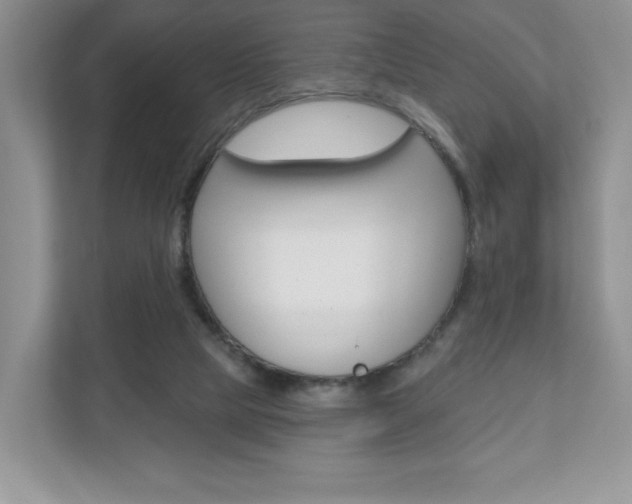 X0000110920065200906181224