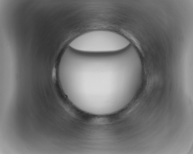 X0000110920067200906181224