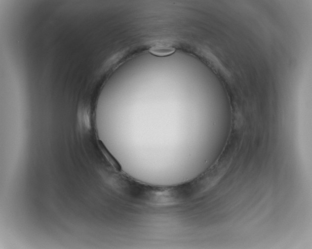 X0000110920068200906181224