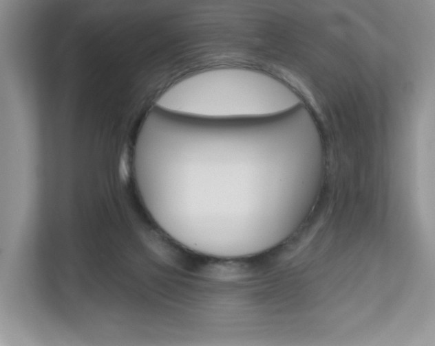 X0000110920069200906181224