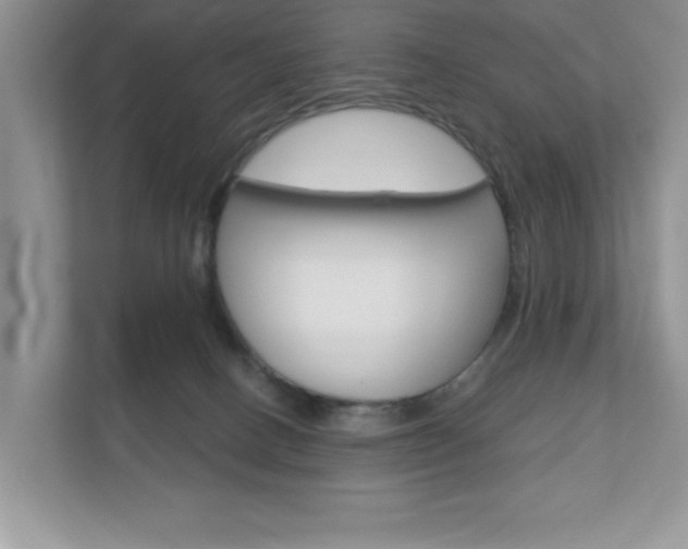 X0000110920082200906181224