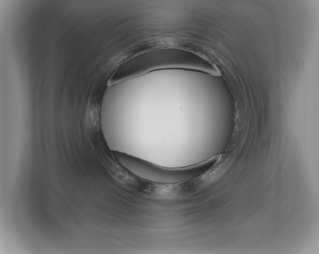 X0000110920096200906181224