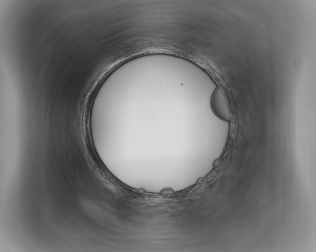 X0000110920098200906181224
