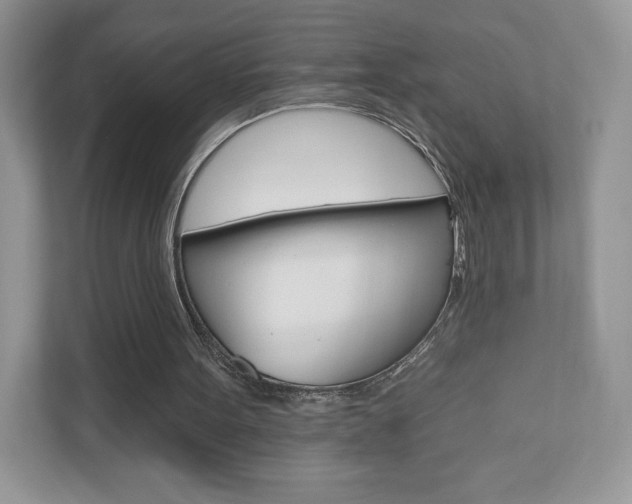 X0000110920099200906181224