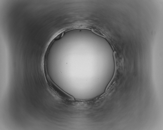 X0000110920100200906181224