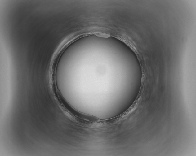 X0000110920101200906181224