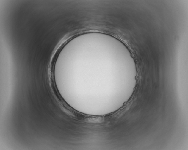 X0000110920102200906181224