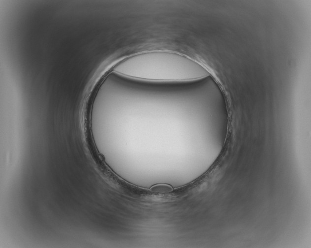 X0000110920103200906181224