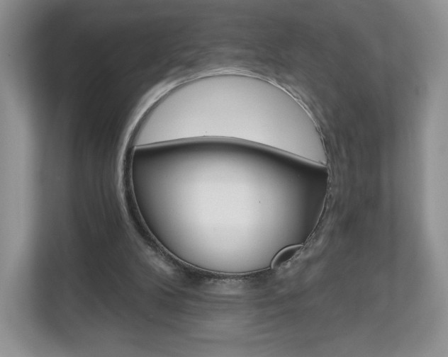 X0000110920104200906181224
