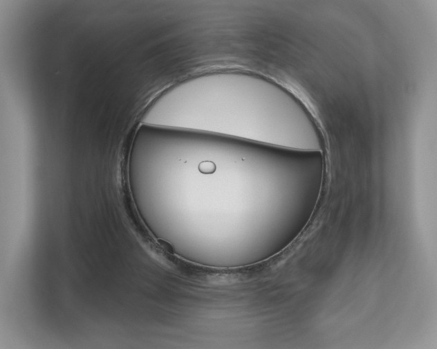 X0000110920105200906181224
