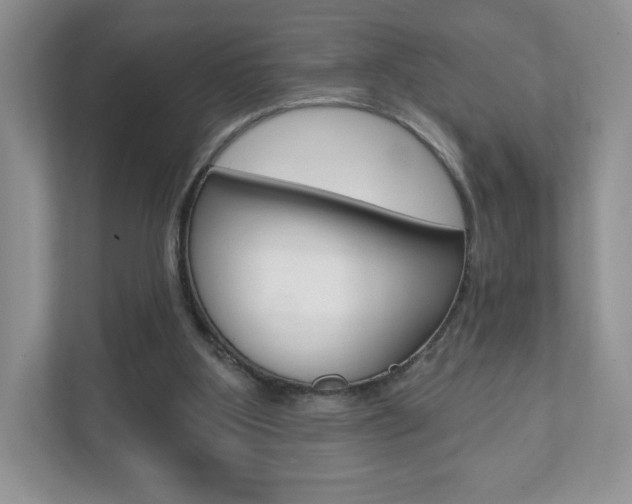 X0000110920107200906181224