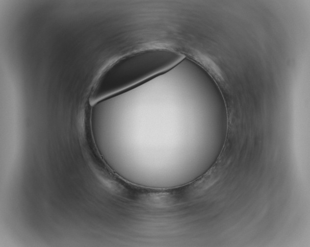 X0000110920108200906181224