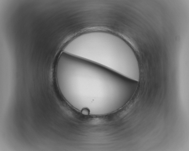 X0000110920111200906181224