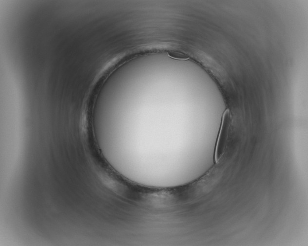X0000110920112200906181224