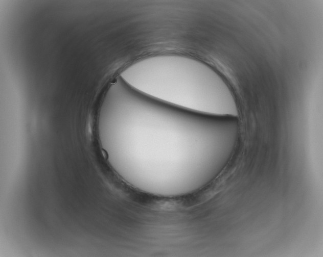 X0000110920115200906181224