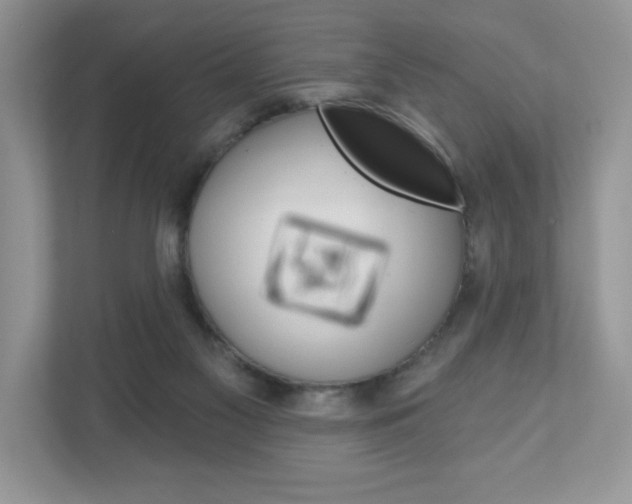 X0000110920117200906181224