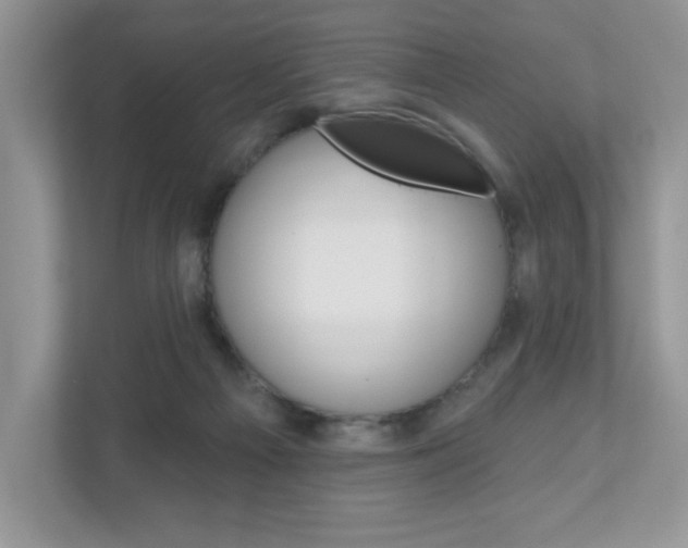 X0000110920121200906181224