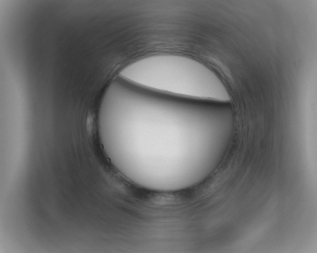 X0000110920123200906181224