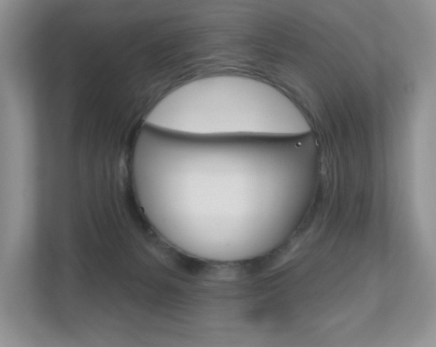 X0000110920127200906181223