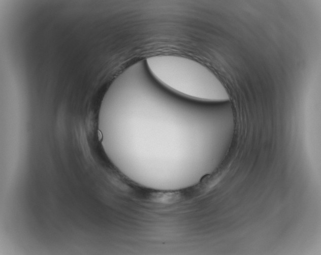 X0000110920135200906181223