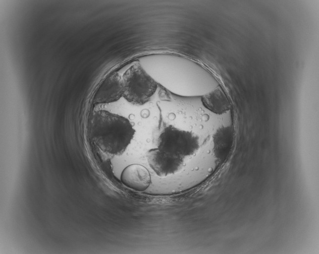 X0000110920145200906181223