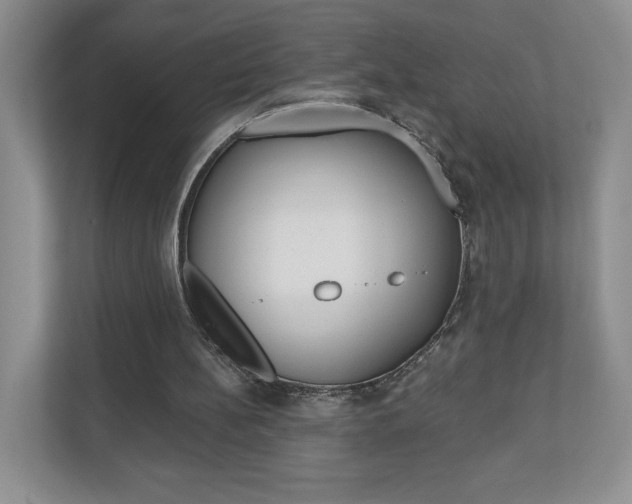 X0000110920148200906181223