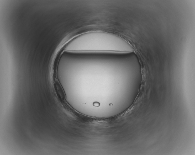 X0000110920150200906181223