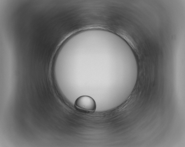 X0000110920156200906181223