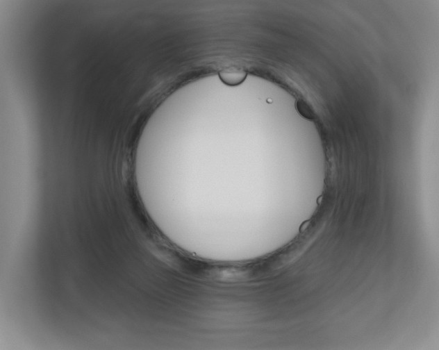 X0000110920165200906181223