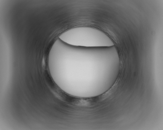 X0000110920166200906181223