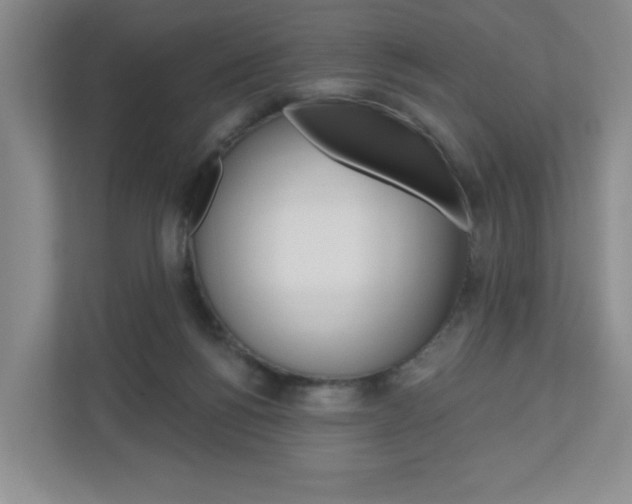 X0000110920168200906181223
