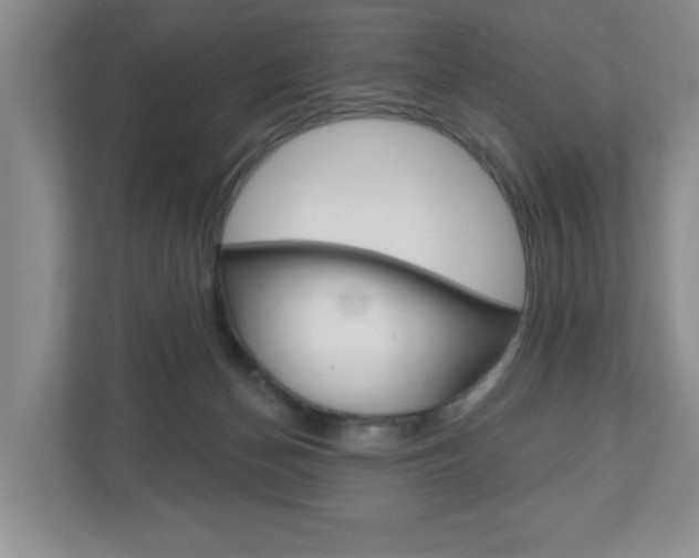 X0000110920174200906181223