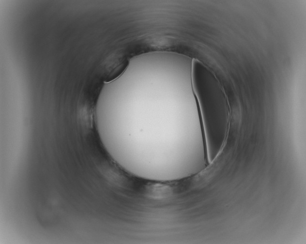 X0000110920180200906181223