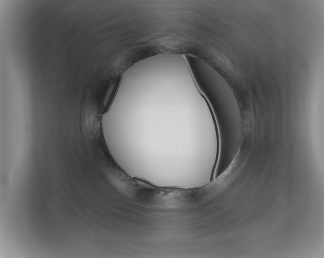 X0000110920186200906181223
