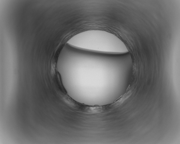 X0000110920188200906181223