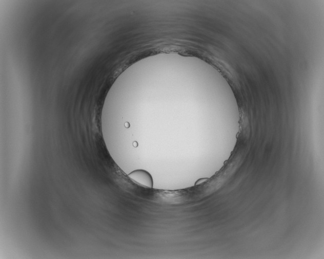 X0000110920189200906181223