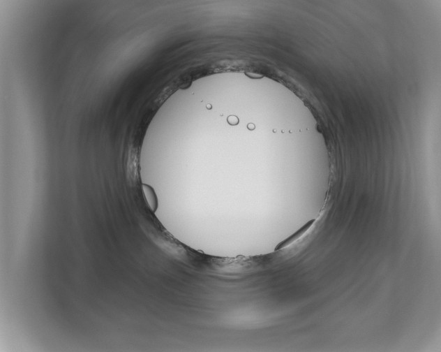 X0000110920191200906181223