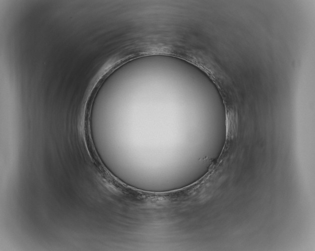 X0000110920195200906181223